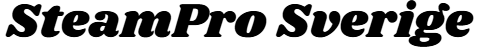 SteamPro Sverige